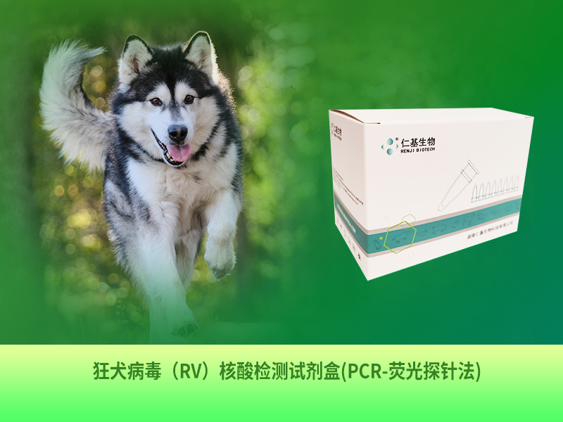 QT-R-001 狂犬病毒（RV）