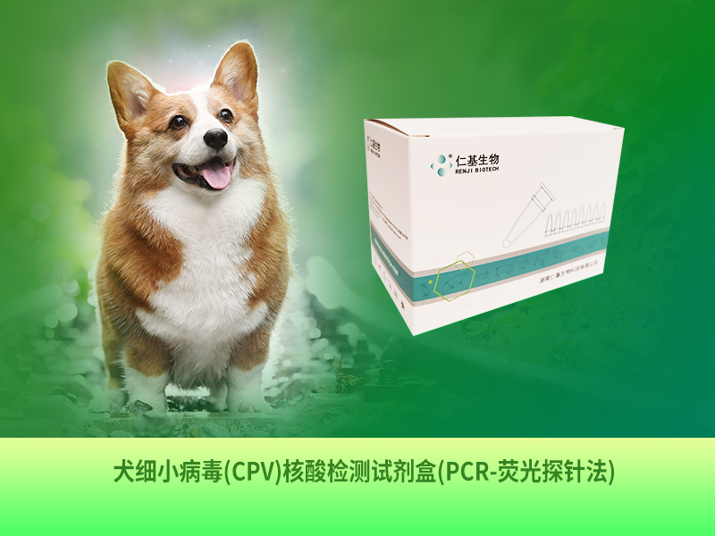 CW-D-002 犬細小病毒(CPV)